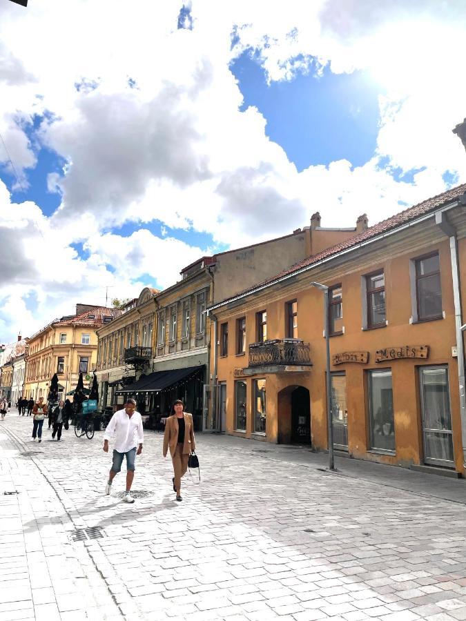Stylish Apartment In The Heart Of Kaunas Old Town Eksteriør bilde